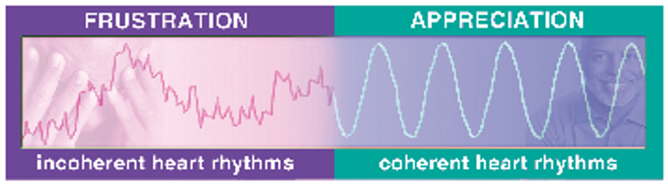 Graphic showing two hearth rhythm signwaves: incoherent and coherent.